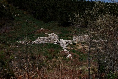 O Foxo do lobo das Covateiras (Bande)%2c ten a mesma palnta que o do Lobo da Xente.JPG