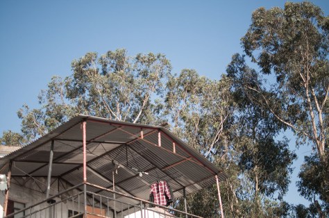 David Nóvoa Sequeiros