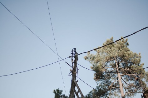 David Nóvoa Sequeiros