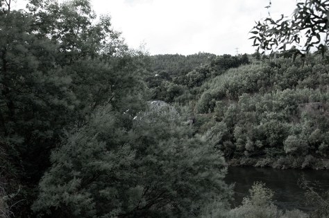 David Nóvoa Sequeiros