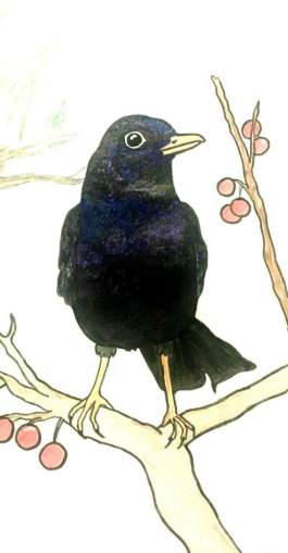 os-merlos-do-senor-cura