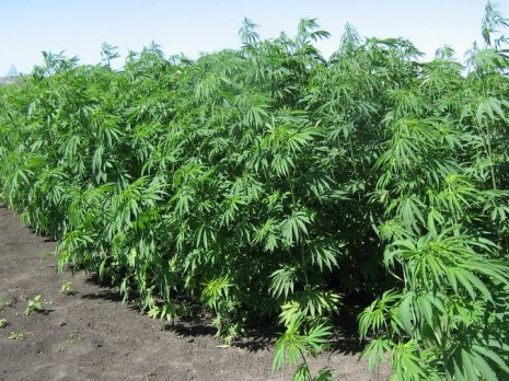 249272_10150250083225998_8201290_n_zps497aa14d