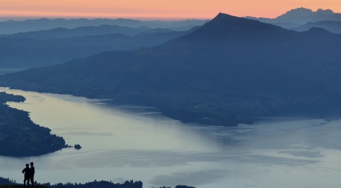 El Camino de la Forastera