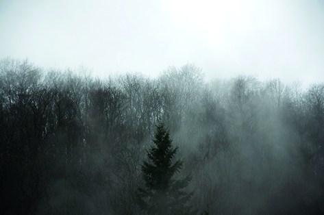 David Nóvoa Sequeiros