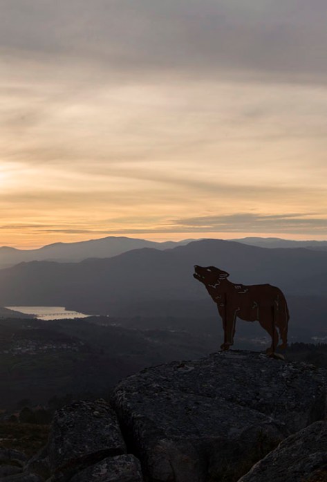 Garrido_Xose_Report_jpeg_alta (21)