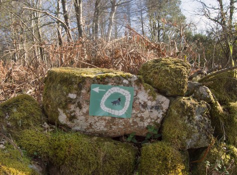 Garrido_Xose_Report_jpeg_alta (6)