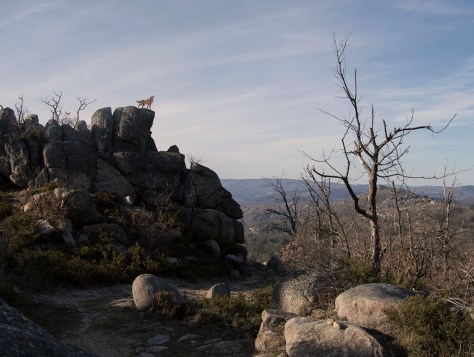 Garrido_Xose_Report_jpeg_alta (9)