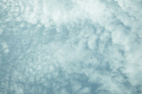 David Nóvoa Sequeiros