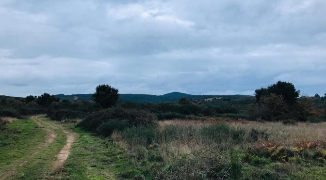 O CASTRO DE TRELLE (I)